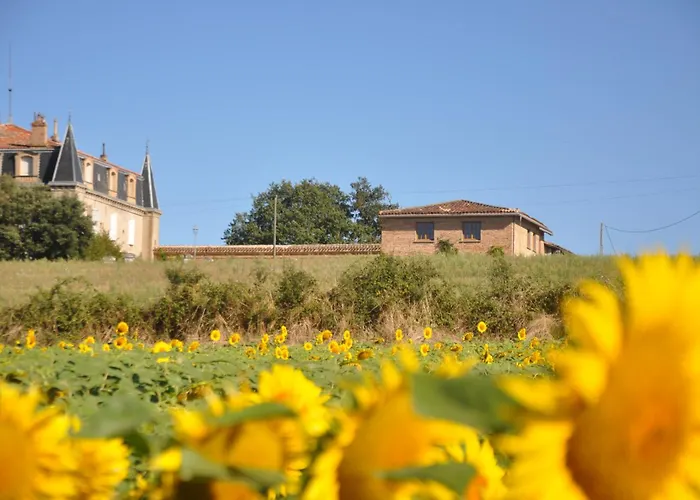 De Rossignol Дом отдыха Cabanac-Seguenville